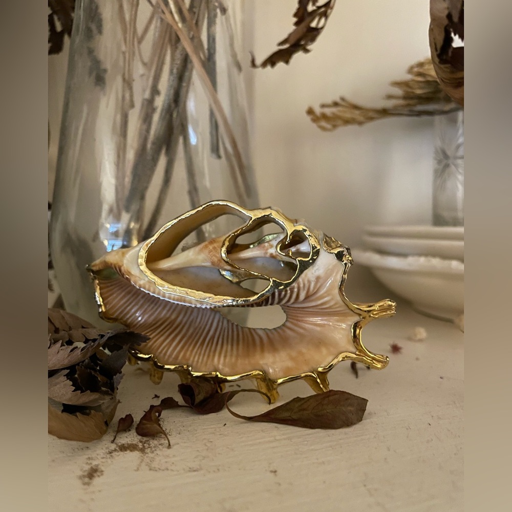 Shell Belt Buckle